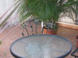 Kingston 10, Kingston / St. Andrew, Jamaica - Townhouse for Lease/rental
